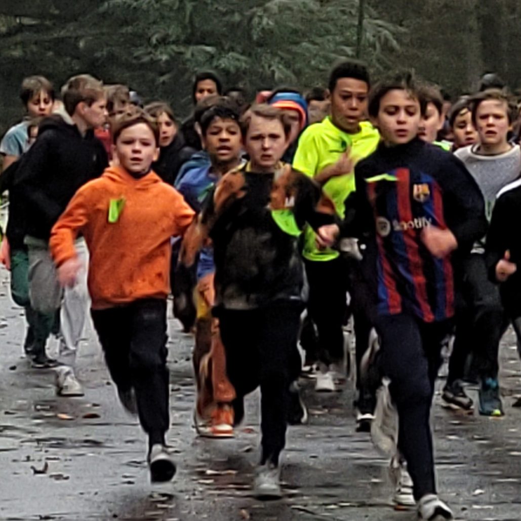 Cross11